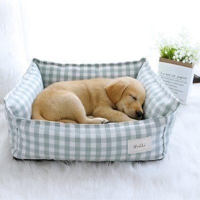 Lit pour Chien | Orthopédique Confort - Paradis de Chien