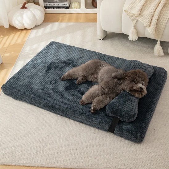 Lit pour chien orthopédique | DogComfort - Paradis de Chien