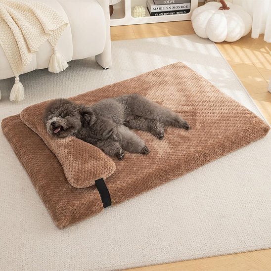 Lit pour chien orthopédique | DogComfort - Paradis de Chien