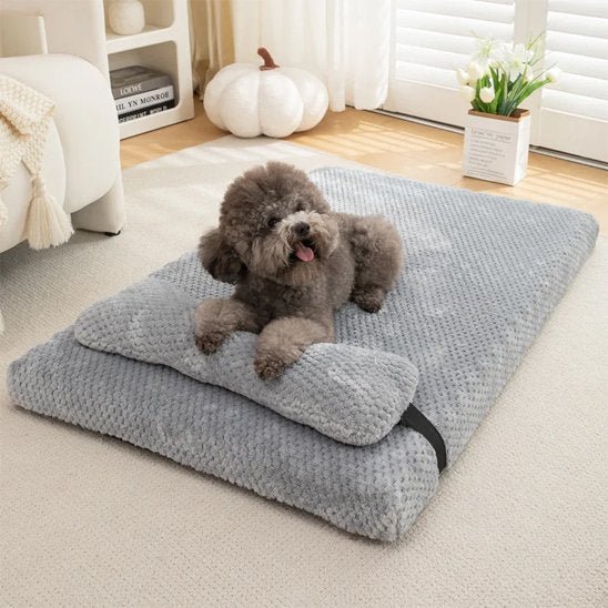 Lit pour chien orthopédique | DogComfort - Paradis de Chien