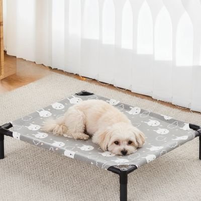Lit pour Chien surélevé | Confort Hygiénique - Paradis de Chien