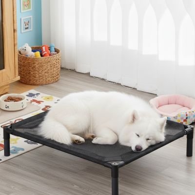 Lit pour Chien surélevé | Confort Hygiénique - Paradis de Chien
