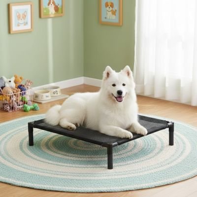 Lit pour Chien surélevé | Confort Hygiénique - Paradis de Chien