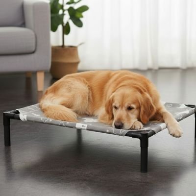 Lit pour Chien surélevé | Confort Hygiénique - Paradis de Chien