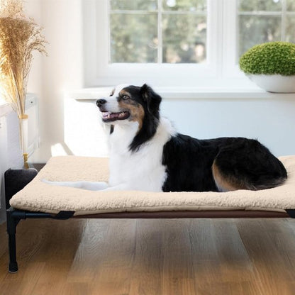 Lit pour chien surélevé | Confort Optimal - Paradis de Chien