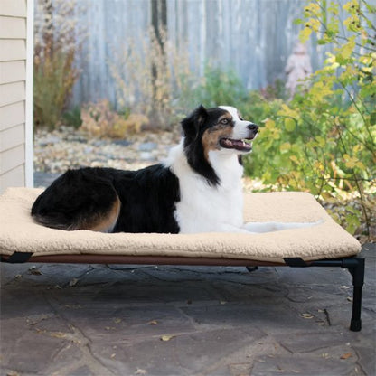 Lit pour chien surélevé | Confort Optimal - Paradis de Chien