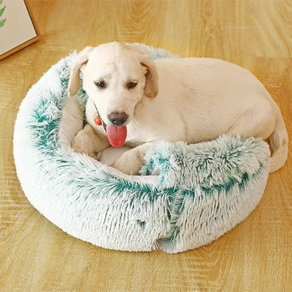 Panier chien | Douillet Confort - Paradis de Chien