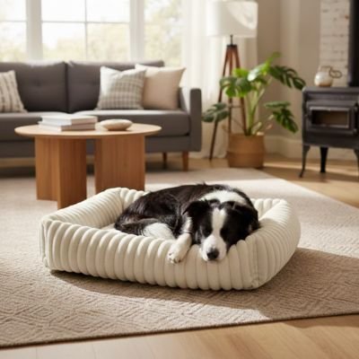 Panier Chien | Ultra - Confortable - Paradis de Chien