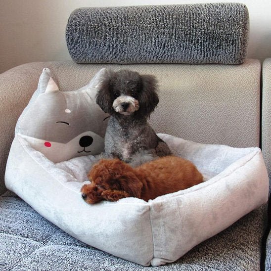 Panier chien | Ultra - confortable - Paradis de Chien