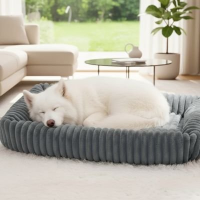 Panier Chien | Ultra - Confortable - Paradis de Chien