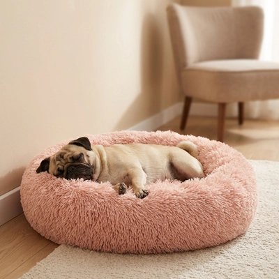 Panier Chien