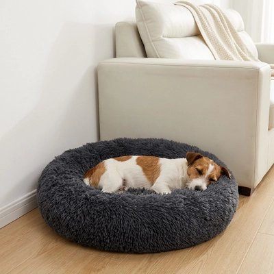 Panier Chien