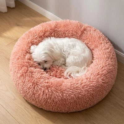Panier Chien