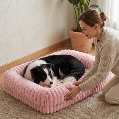 Panier Chien