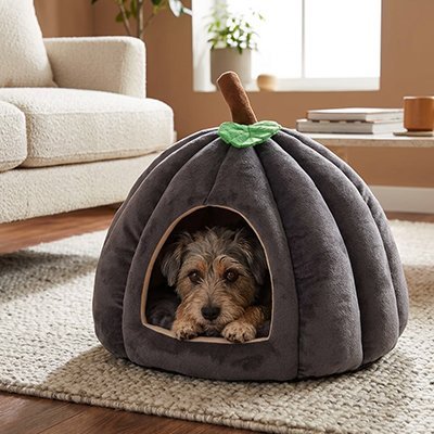 Panier pour Chien | Confort Durable - Paradis de Chien
