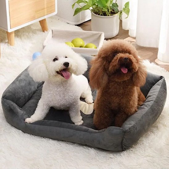 Panier pour chien | Confort Optimal - Paradis de Chien