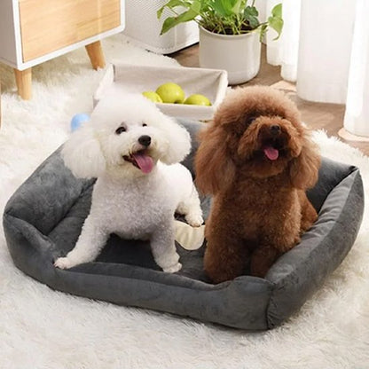 Panier pour chien | Confort Optimal - Paradis de Chien