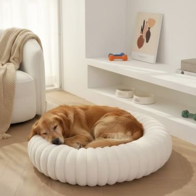 Panier pour Chien | Confort Plus - Paradis de Chien