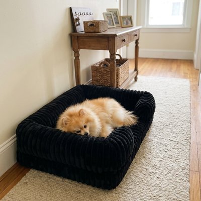Panier pour Chien | Confortable et Durable - Paradis de Chien