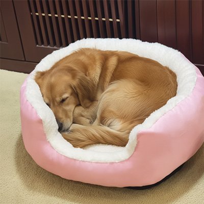 Panier pour chien | Cosy Confort - Paradis de Chien