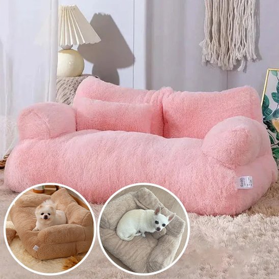 Panier pour chien | CozyPet - Paradis de Chien