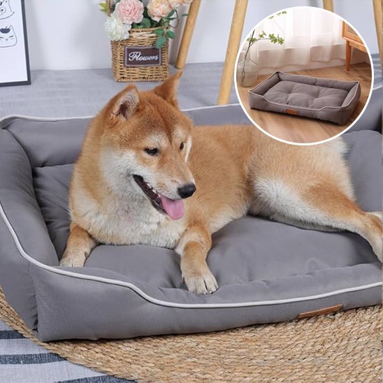 Panier pour chien | Ultra Confortable - Paradis de Chien