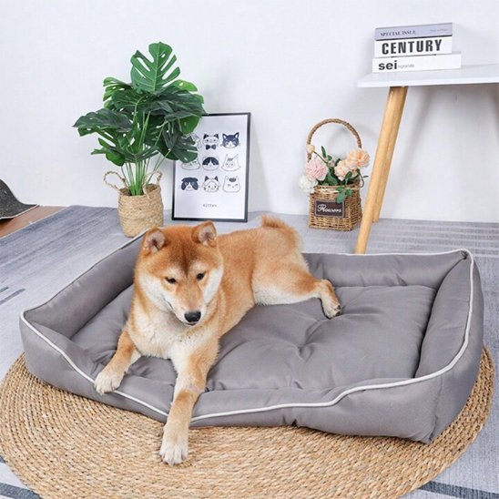 Panier pour chien | Ultra Confortable - Paradis de Chien