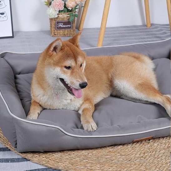 Panier pour chien | Ultra Confortable - Paradis de Chien