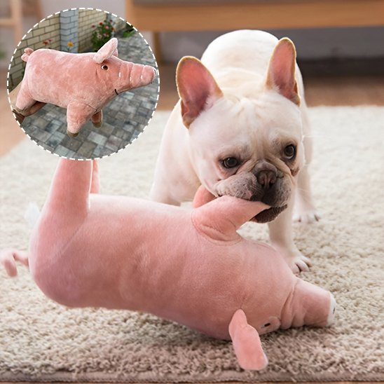 Peluche pour chien | Ultra - résistante - Paradis de Chien