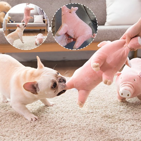 Peluche pour chien | Ultra - résistante - Paradis de Chien