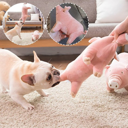 Peluche pour chien | Ultra - résistante - Paradis de Chien
