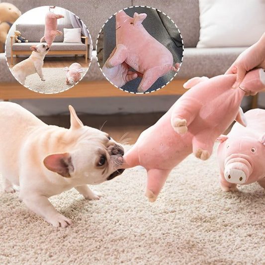 Peluche pour chien | Ultra - résistante - Paradis de Chien