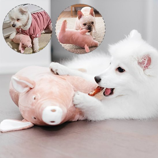Peluche pour chien | Ultra - résistante - Paradis de Chien