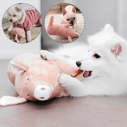 Peluche pour chien | Ultra - résistante - Paradis de Chien