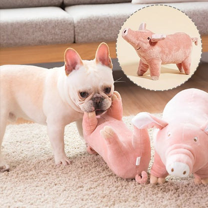 Peluche pour chien | Ultra - résistante - Paradis de Chien