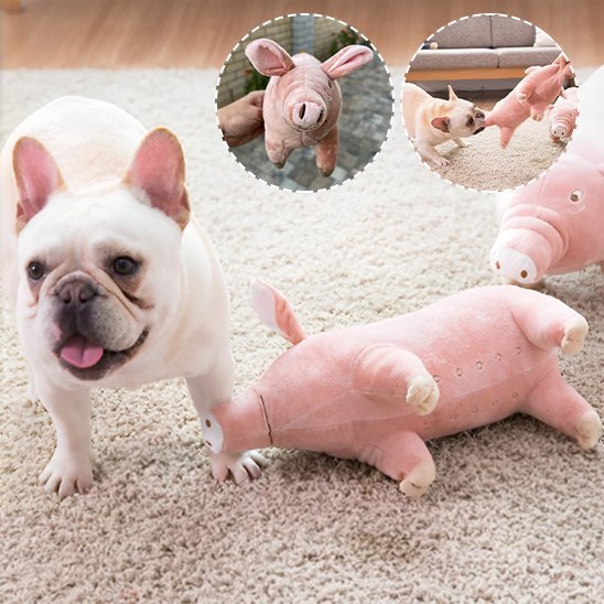 Peluche pour chien | Ultra - résistante - Paradis de Chien