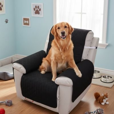 Protection canapé | Imperméable - Paradis de Chien