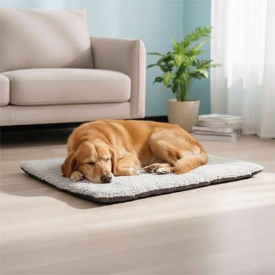 Tapis Chien | Confort Antidérapant - Paradis de Chien