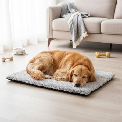 Tapis Chien | Confort Antidérapant - Paradis de Chien