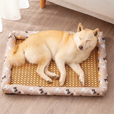 Tapis Chien rafraichissant | CoolPaws - Paradis de Chien