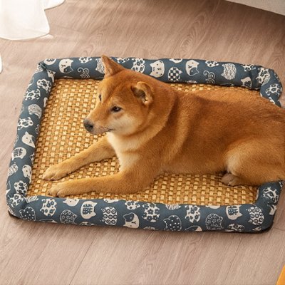 Tapis Chien rafraichissant | CoolPaws - Paradis de Chien