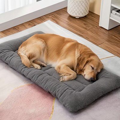 Tapis pour chien | ComfortPlus - Paradis de Chien