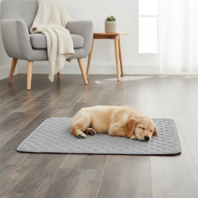 Tapis pour Chien | Confort Absolu - Paradis de Chien
