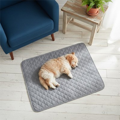 Tapis pour Chien | Confort Absolu - Paradis de Chien