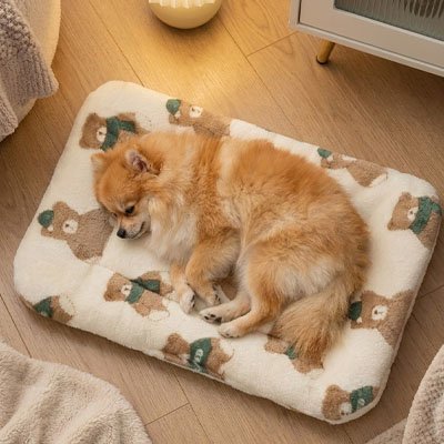 Tapis pour Chien | Confort Lavable Antidérapant - Paradis de Chien