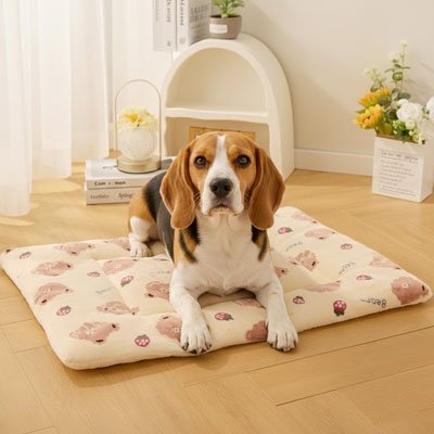 Tapis pour Chien | Confort Lavable Antidérapant - Paradis de Chien