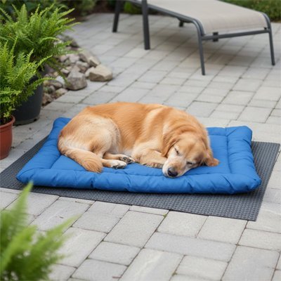 Tapis pour Chien | ConfortPlus - Paradis de Chien