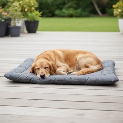 Tapis pour Chien | ConfortPlus - Paradis de Chien