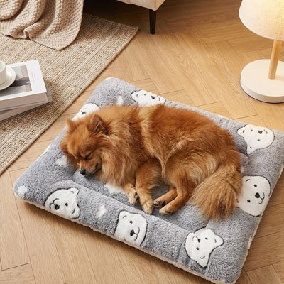 Tapis pour Chien | Ultra - Doux Lavable - Paradis de Chien