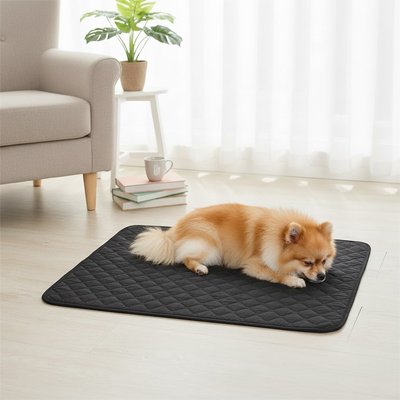 Tapis pour Chien 